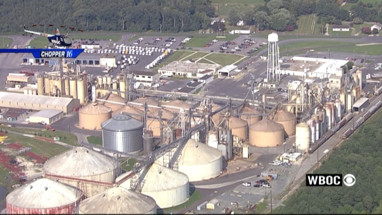 Perdue Agrees to $12 Million Settlement for Environmental Violations in Salisbury